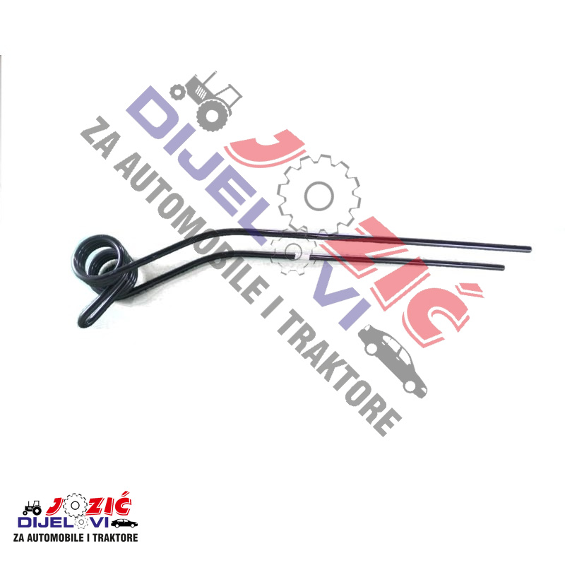 Daisy on the Ohoopee